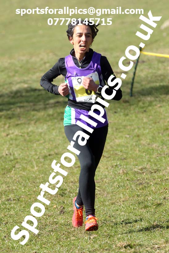 Masters men 2021 NECAA Cross Country Relays, Thornley Farm, Peterlee, Saturday, April 10th. Photo: David T. Hewitson/Sports for All Pics